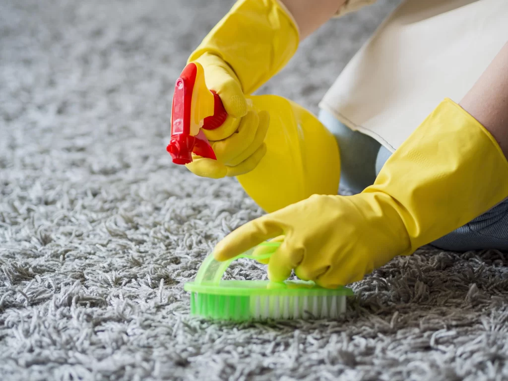 residential carpet cleaning winnipeg
