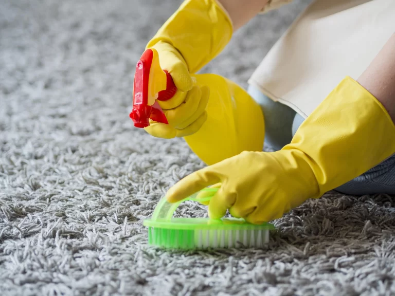 Understanding the Patterns of Carpet Not Drying After Cleaning